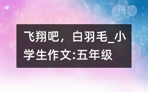 飛翔吧，白羽毛_小學(xué)生作文:五年級(jí)