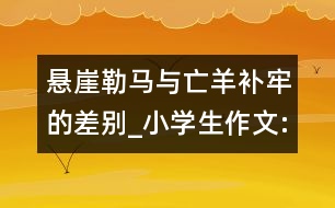 懸崖勒馬與亡羊補(bǔ)牢的差別_小學(xué)生作文:五年級(jí)