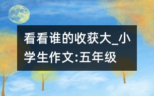 看看誰的收獲大_小學(xué)生作文:五年級(jí)