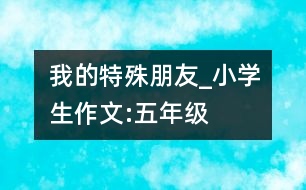 我的特殊朋友_小學(xué)生作文:五年級(jí)