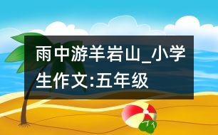 雨中游羊巖山_小學(xué)生作文:五年級(jí)