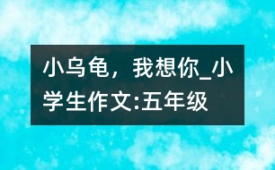 小烏龜，我想你_小學(xué)生作文:五年級