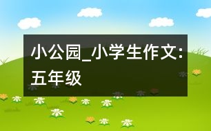 小公園_小學(xué)生作文:五年級(jí)