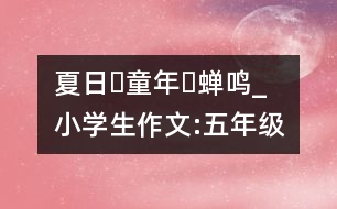 夏日?童年?蟬鳴_小學(xué)生作文:五年級(jí)