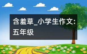 含羞草_小學生作文:五年級