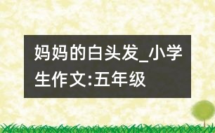 媽媽的白頭發(fā)_小學(xué)生作文:五年級