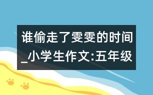 誰偷走了雯雯的時(shí)間_小學(xué)生作文:五年級(jí)