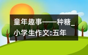 童年趣事――“種”糖_小學(xué)生作文:五年級(jí)