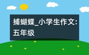 捕蝴蝶_小學(xué)生作文:五年級(jí)