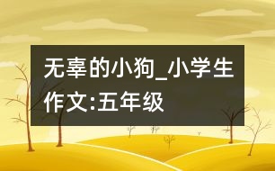 無辜的小狗_小學(xué)生作文:五年級(jí)