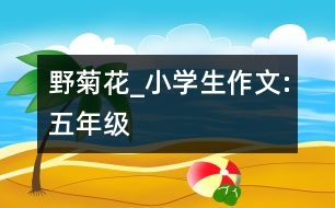 野菊花_小學(xué)生作文:五年級