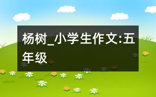 楊樹_小學(xué)生作文:五年級(jí)