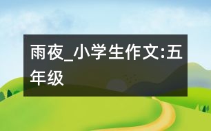 雨夜_小學(xué)生作文:五年級