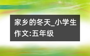 家鄉(xiāng)的冬天_小學(xué)生作文:五年級(jí)