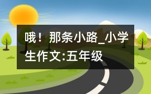 哦！那條小路_小學(xué)生作文:五年級(jí)