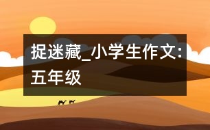 捉迷藏_小學(xué)生作文:五年級