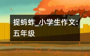 捉螞蚱_小學(xué)生作文:五年級