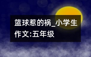 籃球惹的禍_小學生作文:五年級