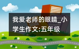 我愛老師的眼睛_小學(xué)生作文:五年級(jí)