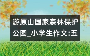 游原山國家森林保護(hù)公園_小學(xué)生作文:五年級