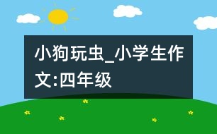 小狗玩蟲_小學(xué)生作文:四年級