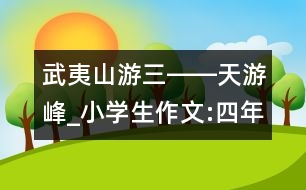 武夷山游（三）――天游峰_小學生作文:四年級