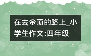 在去“金頂”的路上_小學生作文:四年級