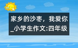 家鄉(xiāng)的沙棗，我愛(ài)你_小學(xué)生作文:四年級(jí)