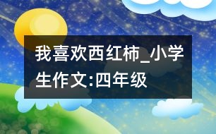 我喜歡西紅柿_小學生作文:四年級