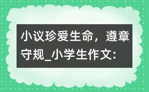 小議“珍愛(ài)生命，遵章守規(guī)”_小學(xué)生作文:四年級(jí)