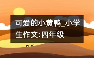 可愛的小黃鴨_小學生作文:四年級