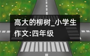 高大的柳樹_小學(xué)生作文:四年級