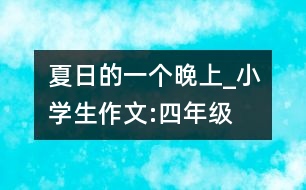 夏日的一個(gè)晚上_小學(xué)生作文:四年級(jí)