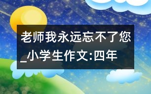 老師,我永遠(yuǎn)忘不了您_小學(xué)生作文:四年級