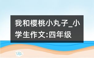 我和櫻桃小丸子_小學(xué)生作文:四年級