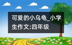 可愛的小烏龜_小學(xué)生作文:四年級