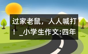 過“家”老鼠，人人喊打！_小學(xué)生作文:四年級