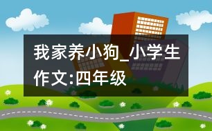 我家養(yǎng)小狗_小學(xué)生作文:四年級