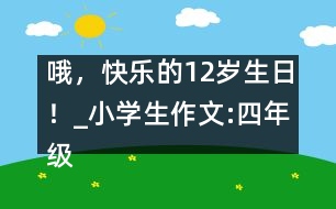 哦，快樂的12歲生日！_小學(xué)生作文:四年級