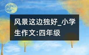 風(fēng)景這邊獨(dú)好_小學(xué)生作文:四年級