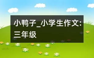 小鴨子_小學生作文:三年級