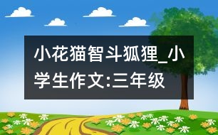 小花貓智斗狐貍_小學(xué)生作文:三年級