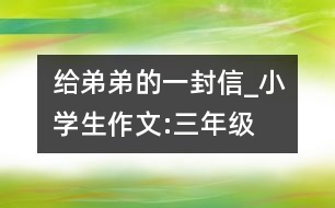 給弟弟的一封信_小學生作文:三年級