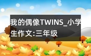 我的偶像TWINS_小學生作文:三年級