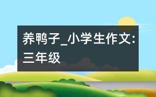 養(yǎng)鴨子_小學生作文:三年級