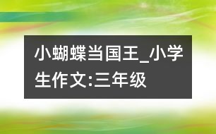 小蝴蝶當國王_小學生作文:三年級