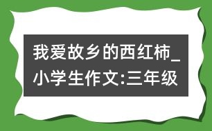 我愛(ài)故鄉(xiāng)的西紅柿_小學(xué)生作文:三年級(jí)