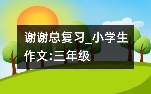 謝謝“總復習”_小學生作文:三年級