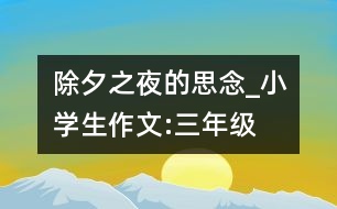 除夕之夜的思念_小學生作文:三年級