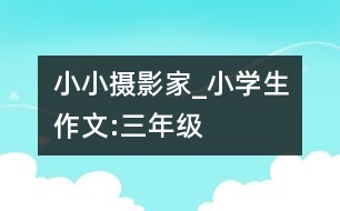 小小攝影家_小學生作文:三年級